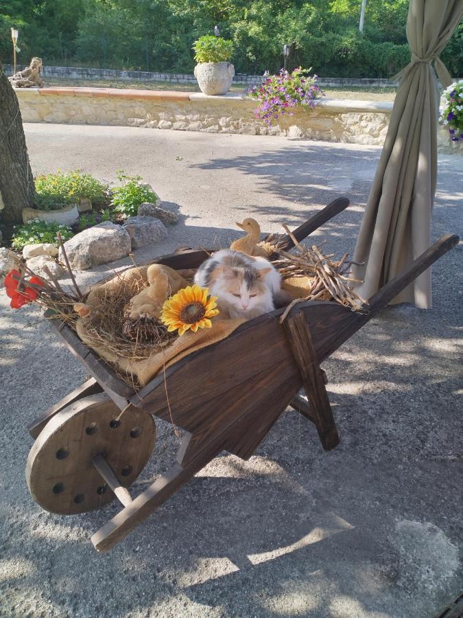 "Il Miglio" Country House Pettorano sul Gizio Eksteriør bilde